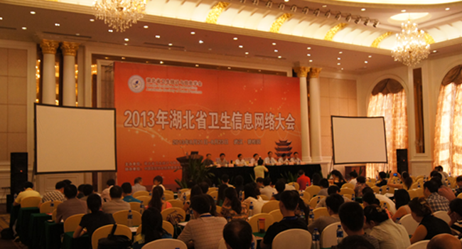 2013湖北省衛生信息網絡大會